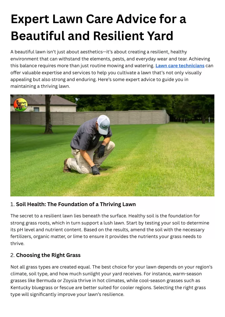 expert lawn care advice for a beautiful