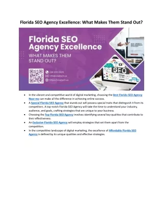 Florida SEO Agency Excellence