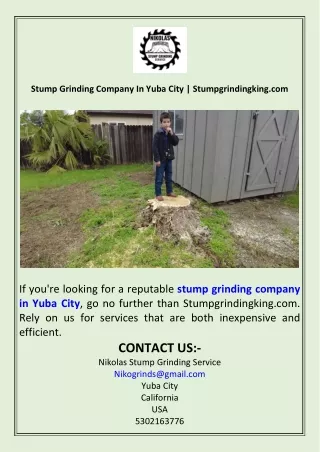Stump Grinding Company In Yuba City  Stumpgrindingking.com