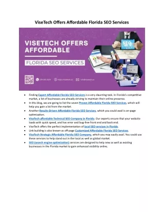 ViseTech Offers Affordable Florida SEO Services