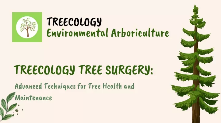 treecology