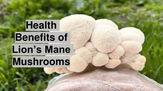 health benefits of lion s mane mushrooms