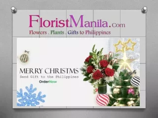 Christmas Gift Delivery to Manila