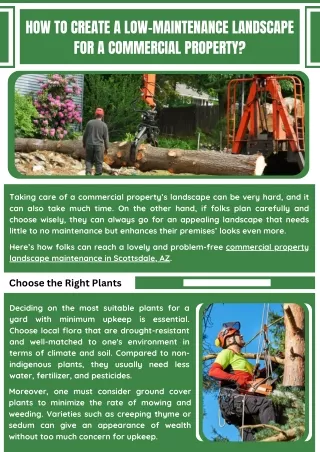 Expert Commercial Landscape Maintenance Solutions