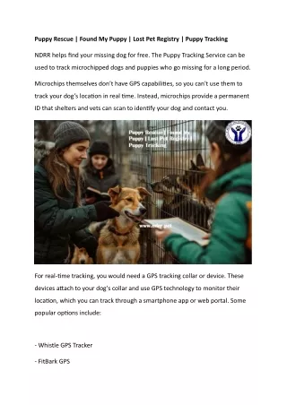 Puppy Rescue  Found My Puppy  Lost Pet Registry  Puppy Tracking