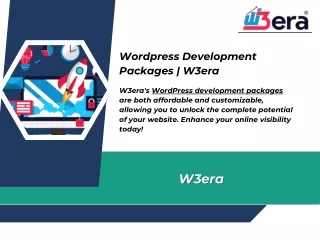 Wordpress Development Packages  W3era