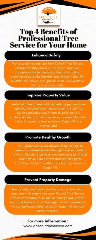 Top 4 Benefits of Professional Tree Service for Your Home