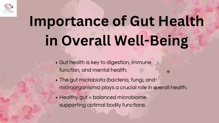 importance of gut health in overall well being