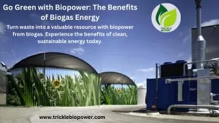 go green with biopower the benefits of biogas