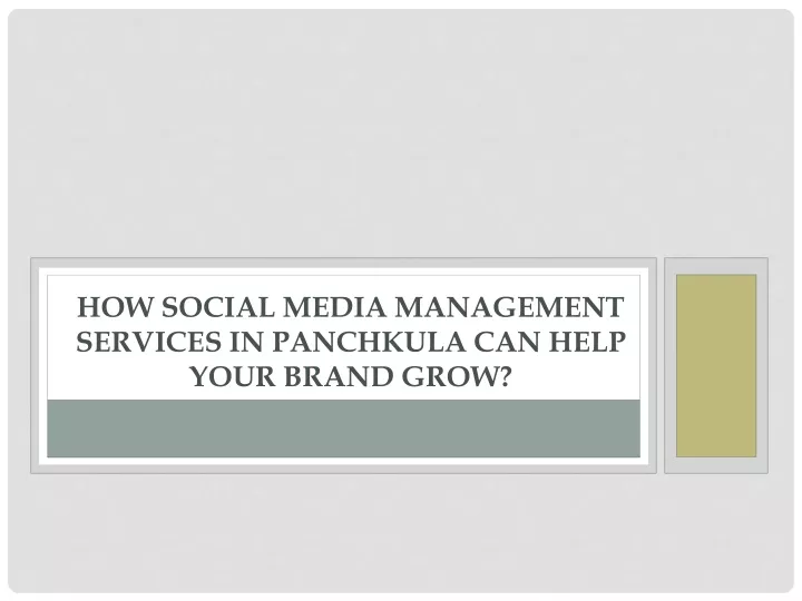 how social media management services in panchkula can help your brand grow