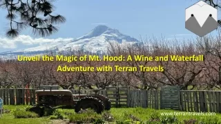 Unveil the Magic of Mt. Hood A Wine and Waterfall Adventure with Terran Travels