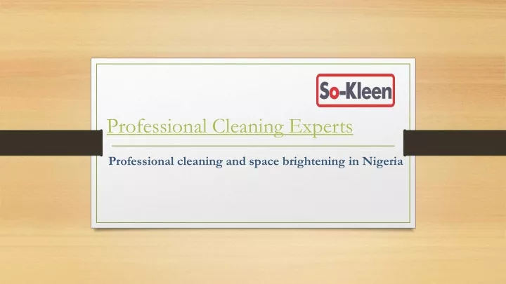 professional cleaning experts