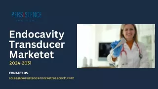 Endocavity Transducer Market
