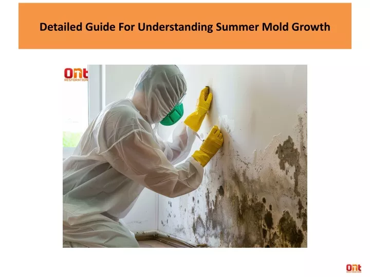 detailed guide for understanding summer mold growth