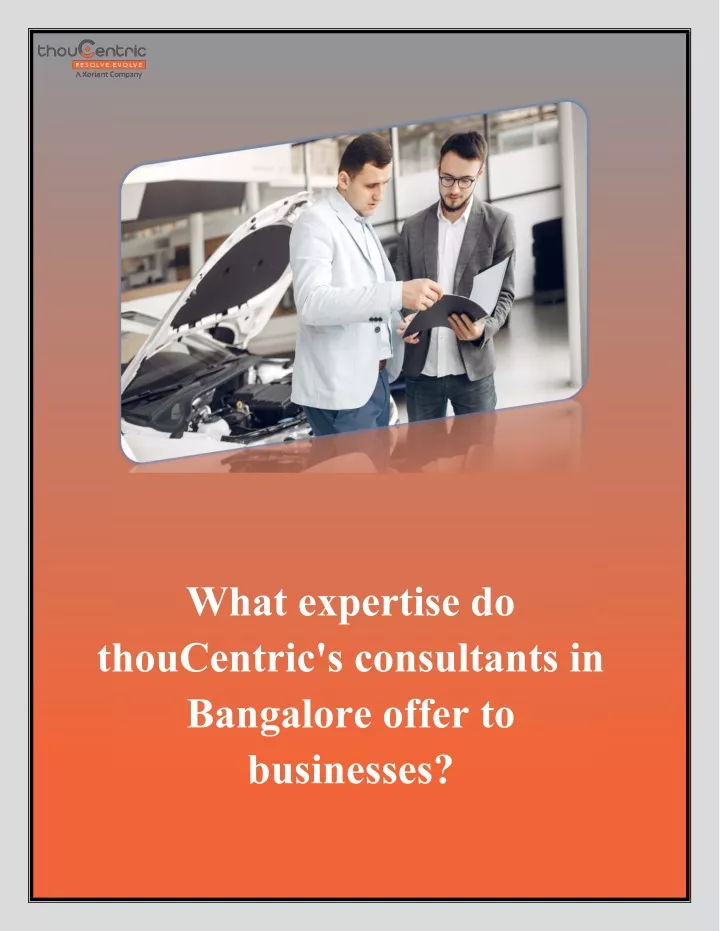 what expertise do thoucentric s consultants