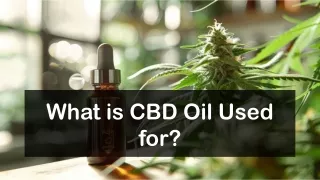 What is CBD Oil Used for?