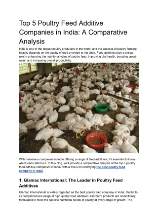 Top 5 Poultry Feed Additive Companies in India: A Comparative Analysis