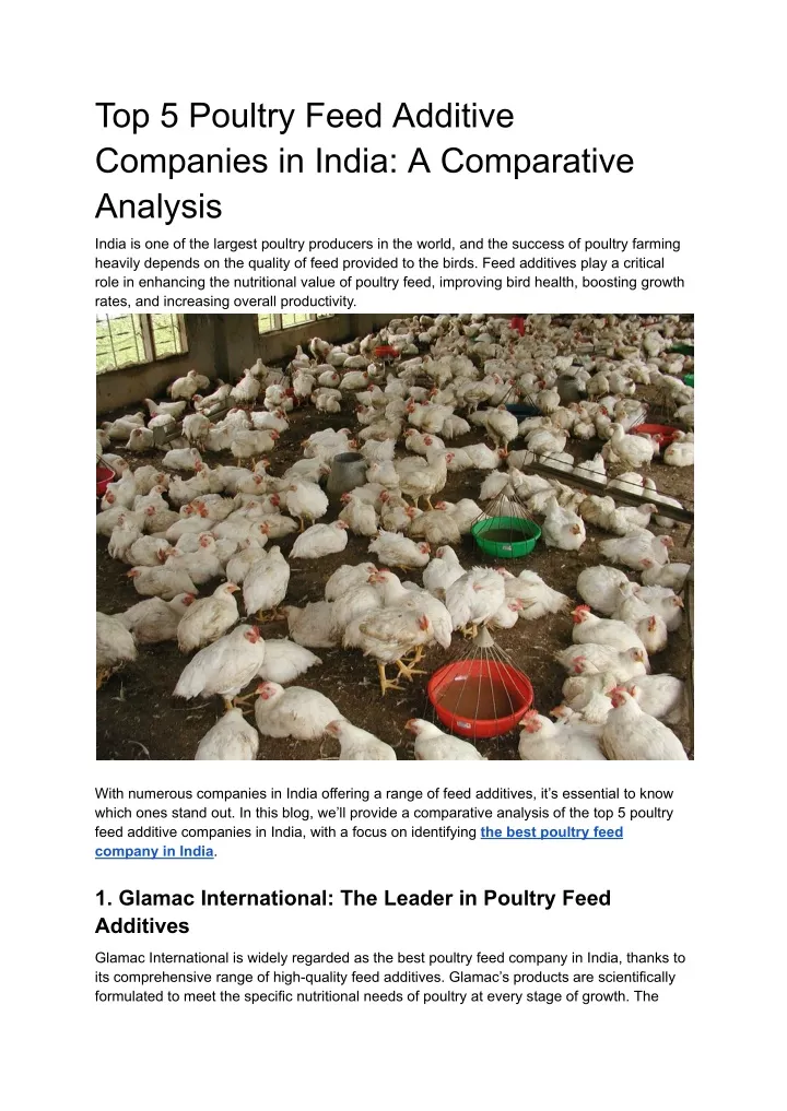 top 5 poultry feed additive companies in india