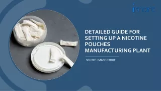 Nicotine Pouches Manufacturing Plant Project Report Setup Cost