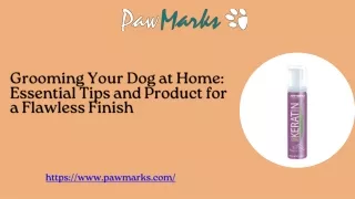 Grooming Your Dog at Home Essential Tips and Product