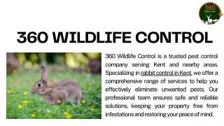 360 Wildlife Control