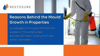 Mould Removal Services in Queensland|Mould Remediation Company in Australia