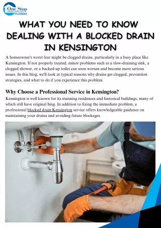 What You Need to Know  Dealing with a Blocked Drain in Kensington