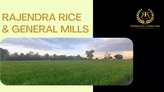 Rajendra Rice & General Mills: Premier 1121 Basmati Rice Manufacturers