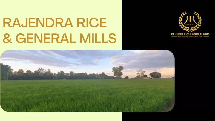 rajendra rice general mills