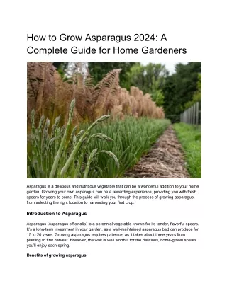 How to Grow Asparagus 2024- A Complete Guide for Home Gardeners