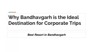 Why Bandhavgarh is the Ideal Destination for Corporate Trips