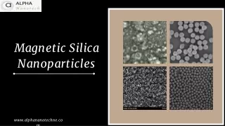 Magnetic Silica Nanoparticles