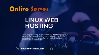 Lightning-Fast Linux Web Hosting for High-Traffic Sites