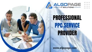 Professional PPC service provider