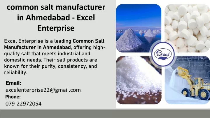 common salt manufacturer in ahmedabad excel