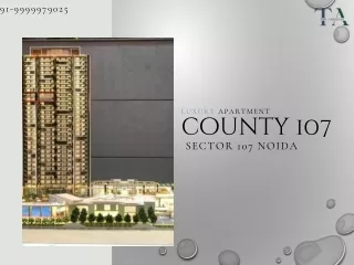 county 107 details