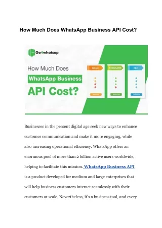 How Much Does WhatsApp Business API Cost?