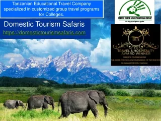 Unforgettable African Safari Tours in Tanzania with Domestic Tourism Safaris