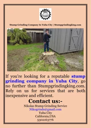 Stump Grinding Company In Yuba City  Stumpgrindingking.com