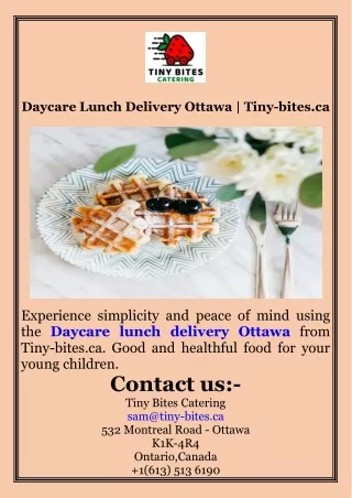 Daycare Lunch Delivery Ottawa  Tiny-bites.ca