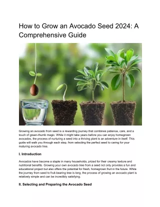 How to Grow an Avocado Seed 2024- A Comprehensive Guide