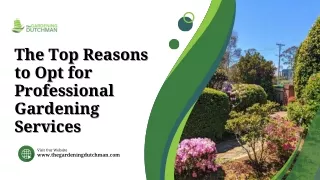 Professional Gardening Services by The Gardening Dutchman