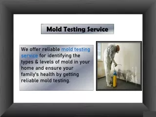 Mold Testing Service