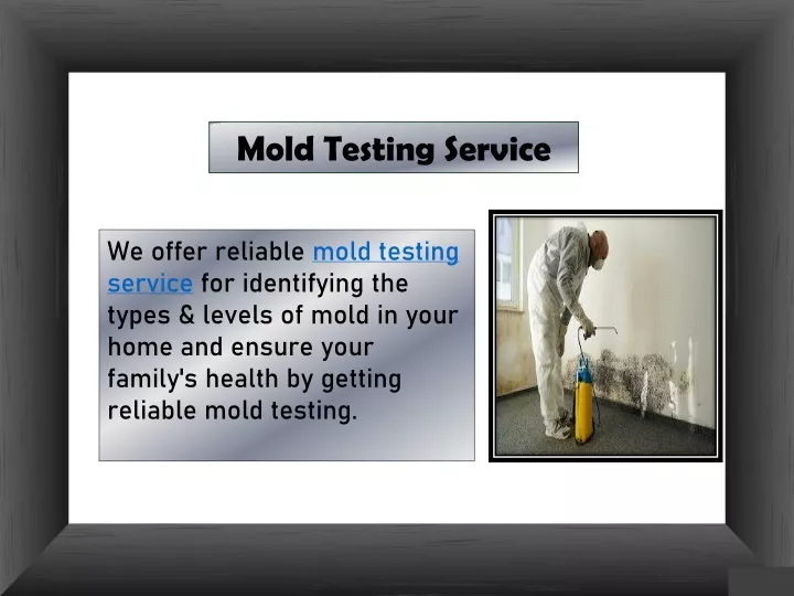 mold testing service