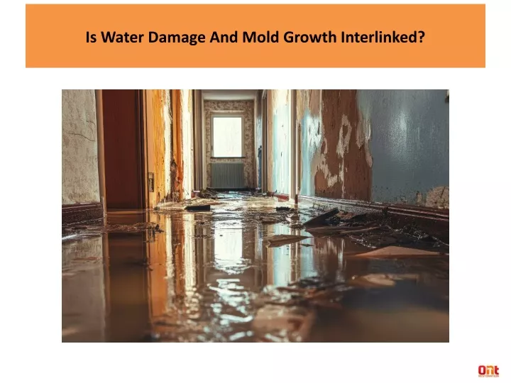 is water damage and mold growth interlinked