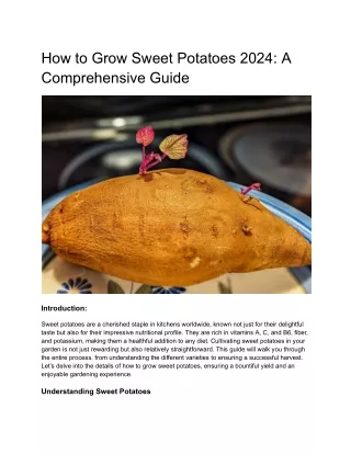 How to Grow Sweet Potatoes- A Comprehensive Guide