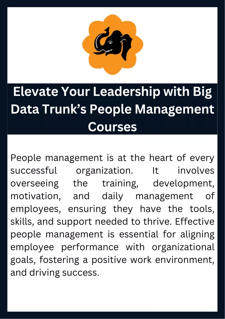 elevate your leadership with big data trunk