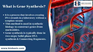 Expert Gene Synthesis Services Leading Gene Synthesis Specialists