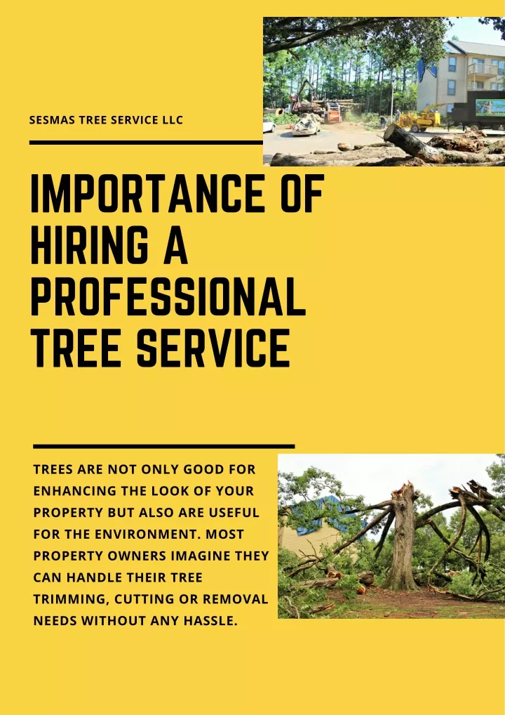 sesmas tree service llc