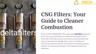 CNG Filters Your Guide to Cleaner Combustion